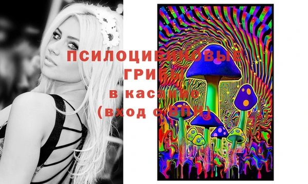 МДМА Рославль