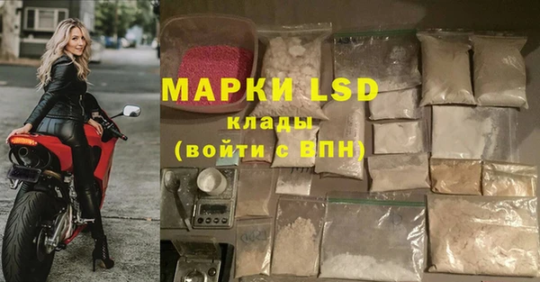 дживик Ростов