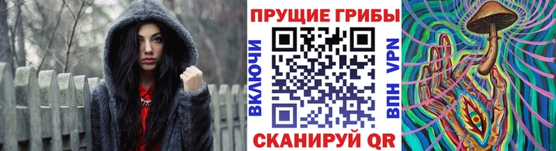Галлюциногенные грибы мухоморы  наркотики  Бирюсинск 